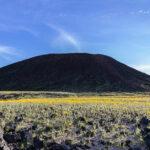 The Amboy Crater Mojave Desert